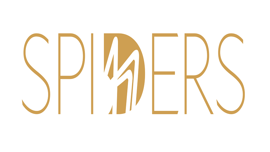 The Spider Awards 2019