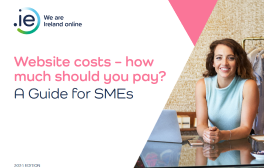 Website costs for SMEs in Ireland e-book cover