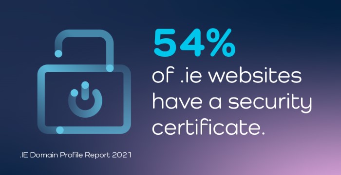 54% of .ie websites have a security cert